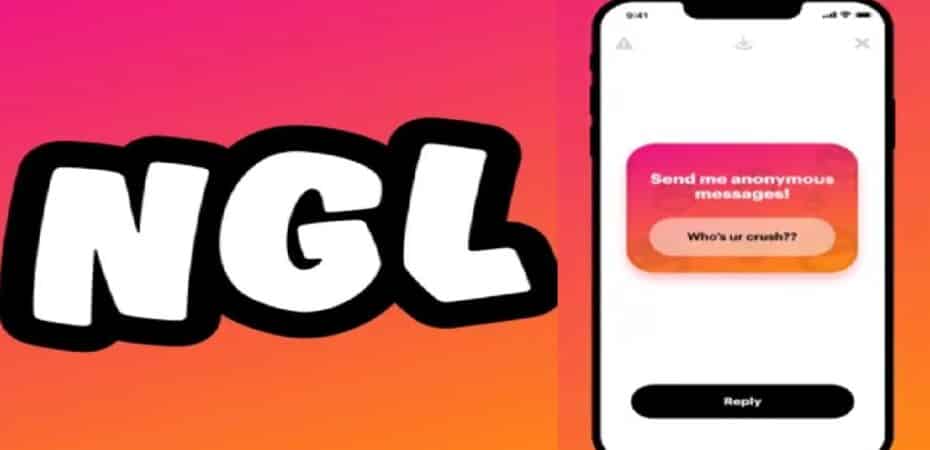 What Does NGL Stand For?