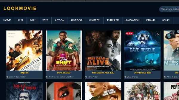 What to Look for in a TamilRockers Alternative