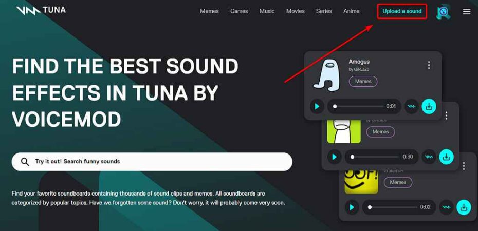 Voicemod Tuna Not Working Reasons & Fixes