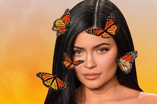 What is the Butterfly Filter?